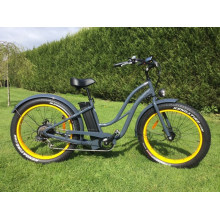 Popular Women Fat Tyre Mountain Electric Bike